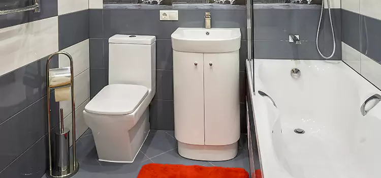 Hansgrohe Shaving Mirror Yorba Linda